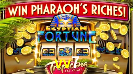 Descubra o Mundo do Cassino Online com vv7